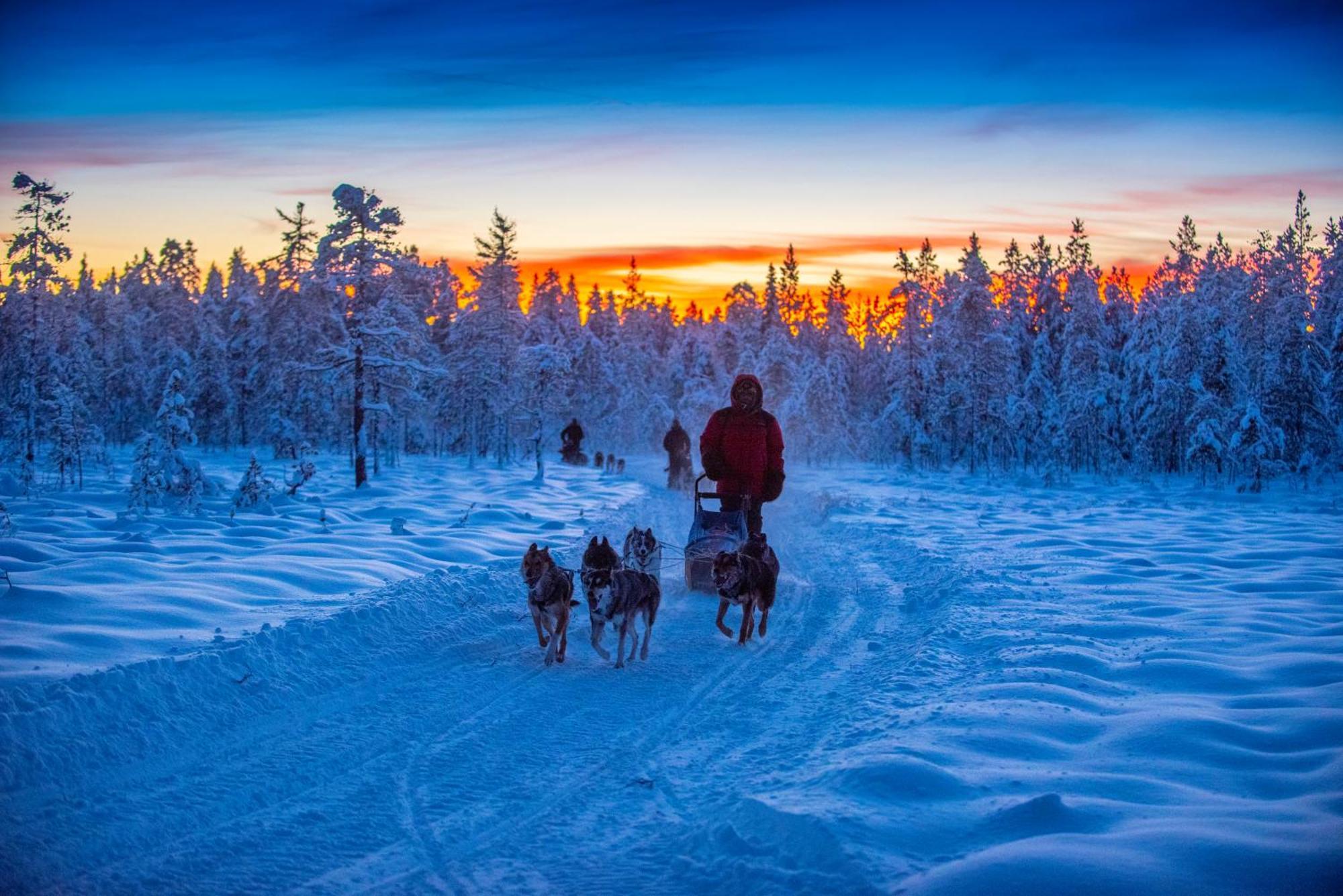 Arctic River Lodge Tarendo Eksteriør billede